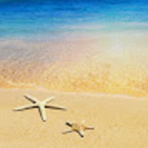 Meet your Posher, Elisa